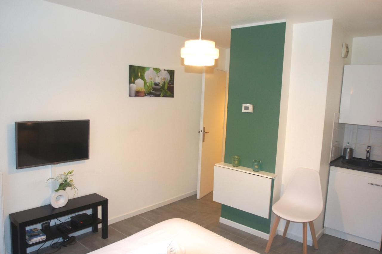 Le Saint Eloi - Studio Avec Parking Toulouse Centre Apartment ภายนอก รูปภาพ